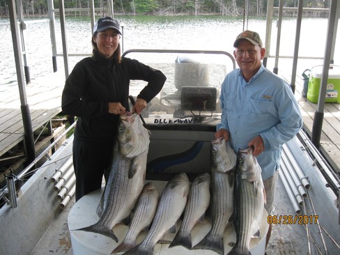 Nice Striped Bass